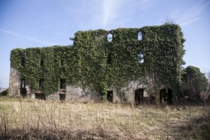 Destilería en ruinas, volverá a la vida 3 Ruinas de Kennetpans