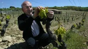 Bodegas Artadi abandona la DOC Rioja 3 Juan Carlos López de Lacalle, propietario de Bodegas Artadi